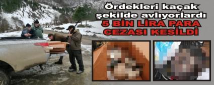 �rdekleri ka�ak �ekilde avl�yorlard�
