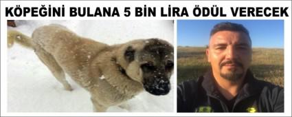 K�PE��N� BULANA 5 B�N L�RA �D�L VERECEK