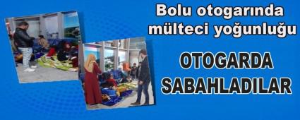 Bolu otogar�nda m�lteci yo�unlu�u