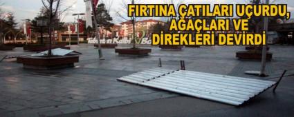 FIRTINA �ATILARI U�URDU, A�A�LARI VE D�REKLER� DEV�RD�