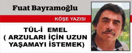 T�L-�  EMEL