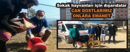 Sokak hayvanlar� i�in d��ar�dalar