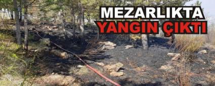 MEZARLIKTA YANGIN �IKTI