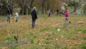 CEV�Z F�DANLARI TOPRAKLA BULU�TURULDU