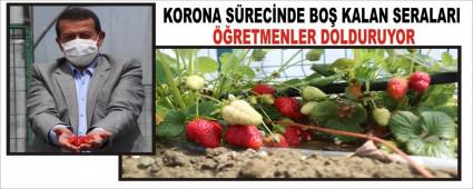 KORONA S�REC�NDE BO� KALAN SERALARI ��RETMENLER DOLDURUYOR