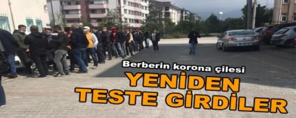 Berberin korona �ilesi