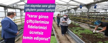 Don olay�ndan zarar g�ren �ift�ilerin yaralar� sar�l�yor