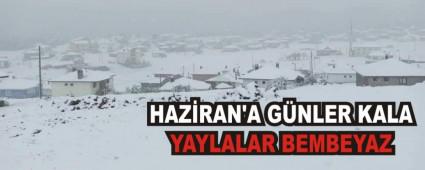 HAZ�RAN\'A G�NLER KALA YAYLALAR BEMBEYAZ