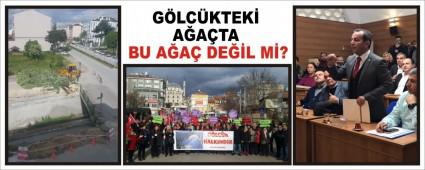 G�LC�KTEK� A�A�TA BU A�A� DE��L M�?