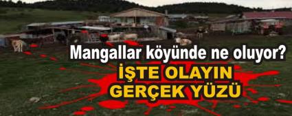 Mangallar k�y�nde ne oluyor?