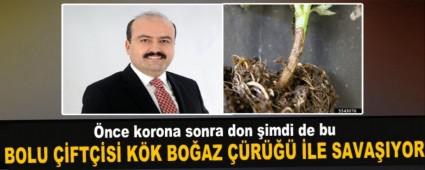 �nce korona sonra don �imdi de bu