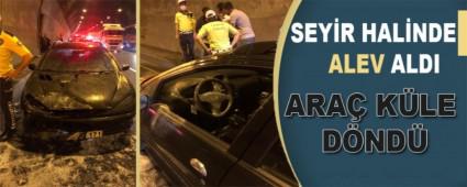 SEY�R HAL�NDE ALEV ALDI
