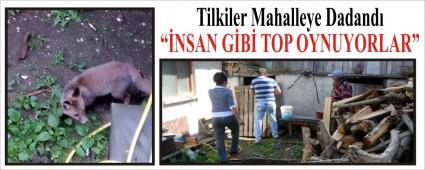 Tilkiler Mahalleye Dadand�