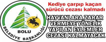 Kediye �arp�p ka�an s�r�c� cezas�z kalmad�