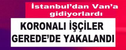 KORONALI ����LER GEREDE\'DE YAKALANDI 