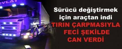 TIRIN �ARPMASIYLA FEC� �EK�LDE CAN VERD�