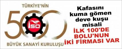 Kafas�n� kuma g�men deve ku�u misali