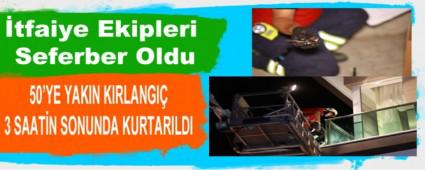 50\'YE YAKIN KIRLANGI� 3 SAAT�N SONUNDA KURTARILDI