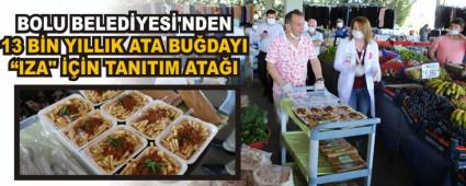 BOLU BELED�YES�\'NDEN 13 B�N YILLIK ATA BU�DAYI \"IZA\" ���N TANITIM ATA�I