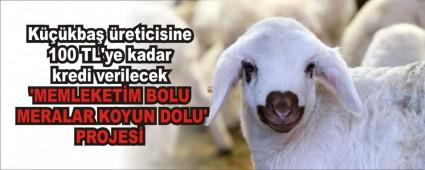 �MEMLEKET�M BOLU MERALAR KOYUN DOLU\' PROJES�