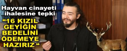 HAYVAN C�NAYET� �HALES�NE TEPK�