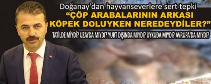 ���P ARABALARININ ARKASI K�PEK DOLUYKEN NEREDEYD�LER?�