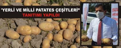 �YERL� VE M�LL� PATATES �E��TLERݔ TANITIMI YAPILDI