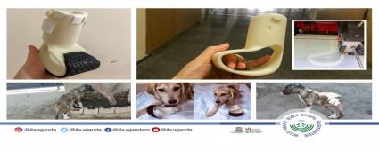 BA�B� AKADEM�SYENLER�NDEN �Y�L�K PROJES�