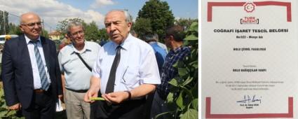 ��VR�L FASULYES�, BOLU BA�I��ILAR VAKFI ADINA TESC�L ED�LD�