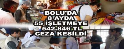 BOLU\'DA 8 AYDA 55 ��LETMEYE 542.846 TL CEZA KES�LD�