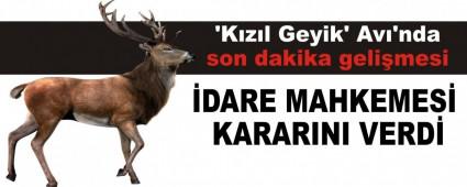 \'K�z�l Geyik\' Av�\'nda son dakika geli�mesi