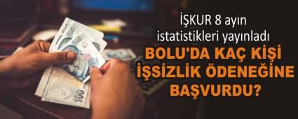 BOLU\'DA KA� K��� ��S�ZL�K �DENE��NE BA�VURDU?