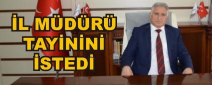 �L M�D�R� TAY�N�N� �STED�