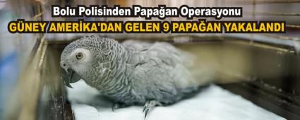 Bolu Polisinden Papa�an Operasyonu