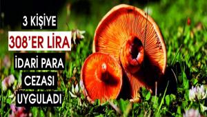 Ormanl�k alana izinsiz girmek isteyenlere idari para cezas�