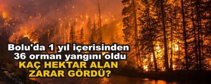 Bolu\'da 1 y�l i�erisinden 36 orman yang�n� oldu