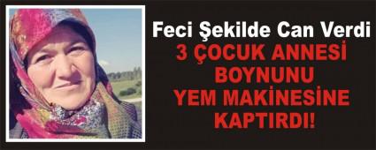 Feci �ekilde Can Verdi