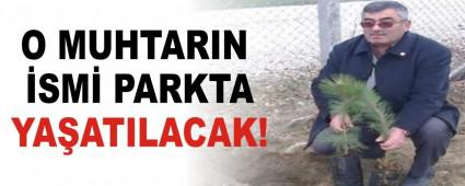 O MUHTARIN �SM� PARKTA YA�ATILACAK!