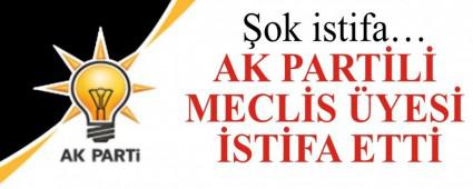 AK PART�L� MECL�S �YES� �ST�FA ETT�
