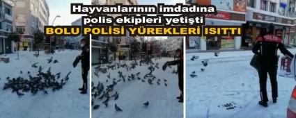BOLU POL�S� Y�REKLER� ISITTI