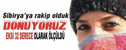 Bolu dondu