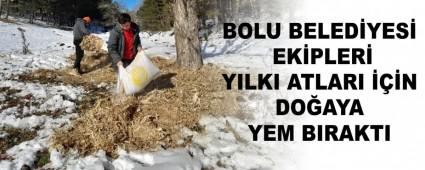 BOLU BELED�YES� EK�PLER� YILKI ATLARI ���N DO�AYA YEM BIRAKTI