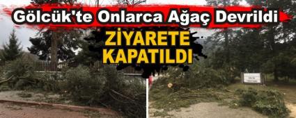 G�lc�k\'te Onlarca A�a� Devrildi