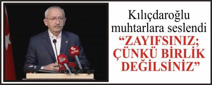 �ZAYIFSINIZ; ��NK� B�RL�K DE��LS�N�Z�