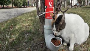    SOKAK HAYVANLARI ���N SU BORUSUNDAN MAMA APARATI YAPTILAR 