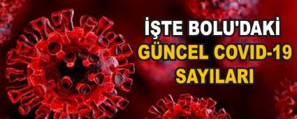 ��TE BOLU\'DAK� G�NCEL COVID-19 SAYILARI
