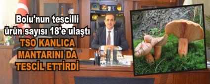TSO KANLICA MANTARINI DA TESC�L ETT�RD�