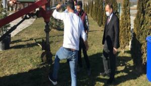 TRAF�K PARKI A�A�LANDIRILIYOR