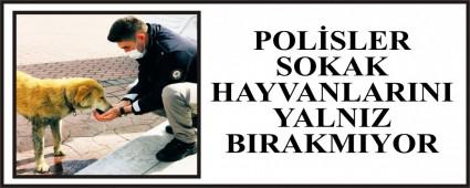 POL�SLER SOKAK HAYVANLARINI YALNIZ BIRAKMIYOR