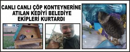 CANLI CANLI ��P KONTEYNER�NE ATILAN KED�Y� BELED�YE EK�PLER� KURTARDI